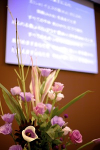 1 - 2010-10-31 09-46-23.jpg