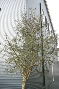 4 - 2010-10-03 15-26-46.jpg