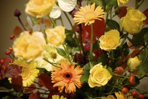 4 - 2010-10-10 13-06-30.jpg