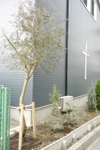 5 - 2010-10-03 15-26-29.jpg