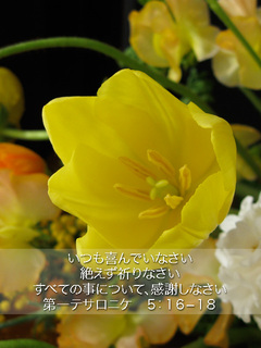 mobile_bg_0307.jpg