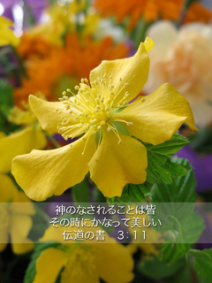 mobile_bg_0510.jpg