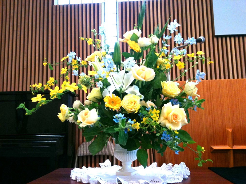 http://www.joychapel.com/blog/images/flower/20110424_02.JPG