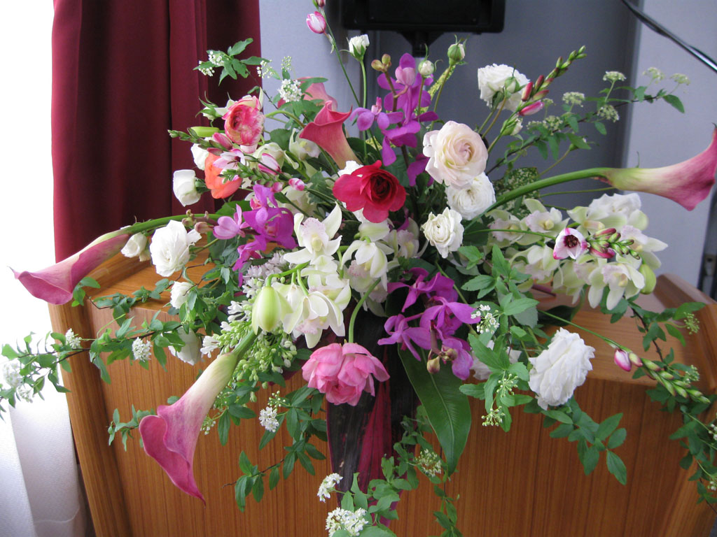 http://www.joychapel.com/images/flower/20090118_01.jpg