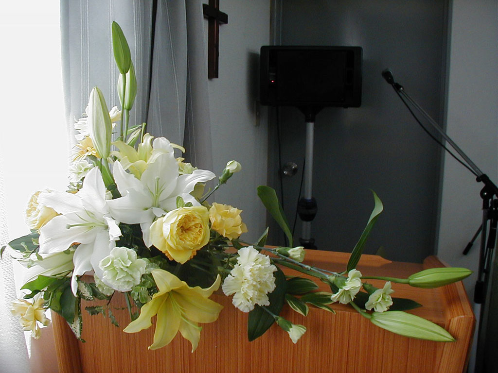 http://www.joychapel.com/images/flower/20090412_01.jpg