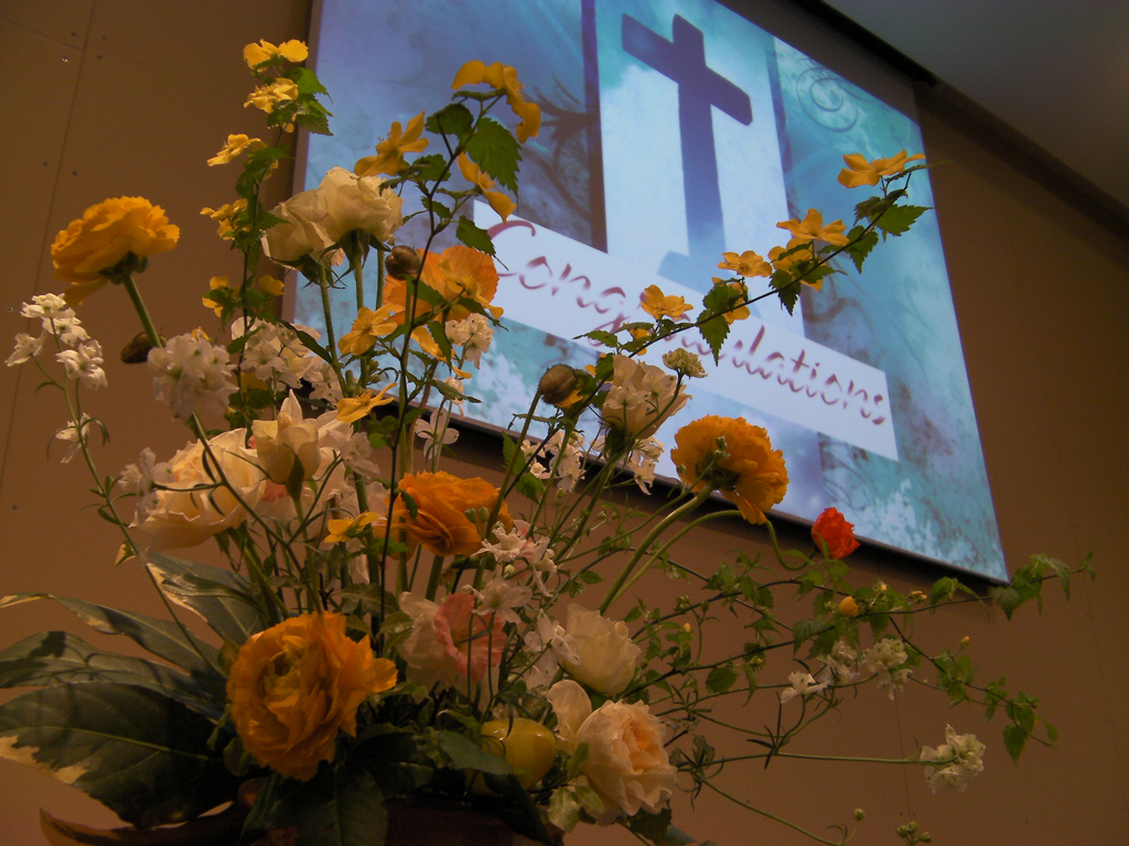 http://www.joychapel.com/images/flower/20100404_03.jpg