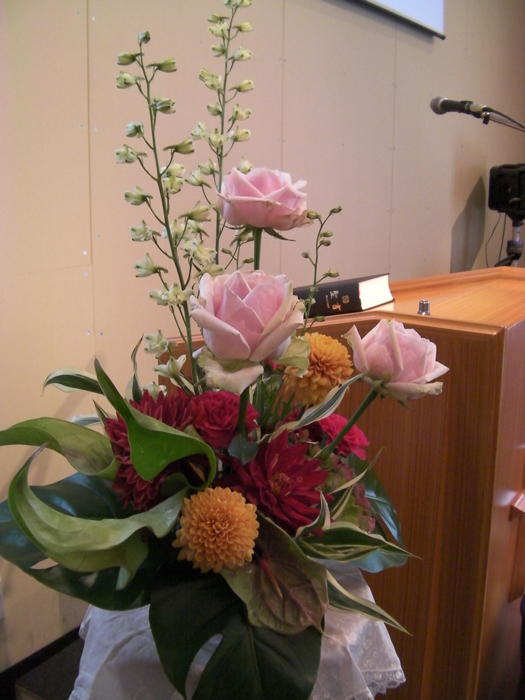http://www.joychapel.com/images/flower/20100418_02.jpg