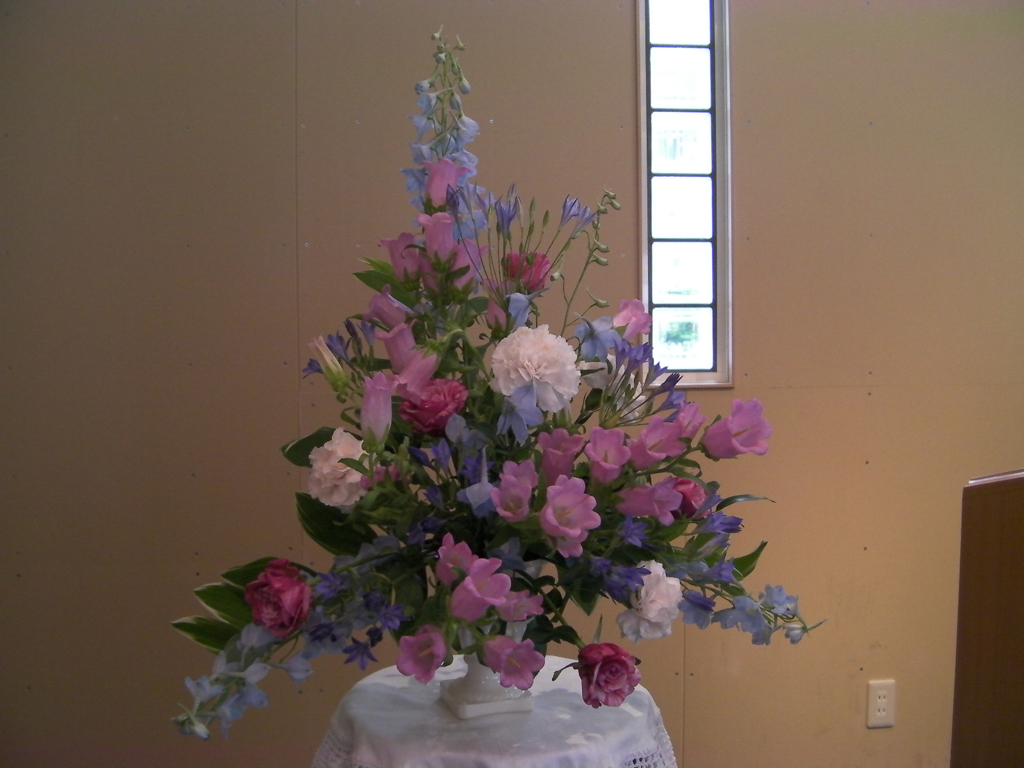 http://www.joychapel.com/images/flower/20100613_02.jpg