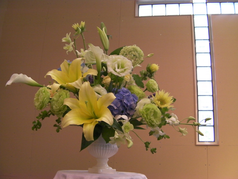 http://www.joychapel.com/images/flower/20100620_03.jpg