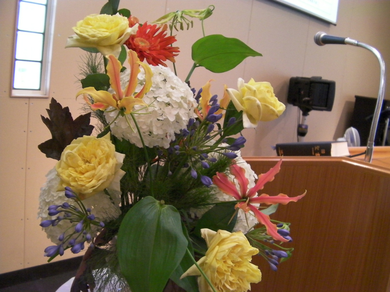 http://www.joychapel.com/images/flower/20100627_02.jpg