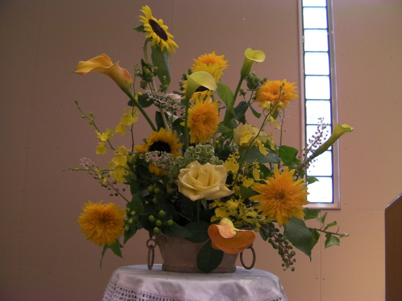 http://www.joychapel.com/images/flower/20100808_02.jpg