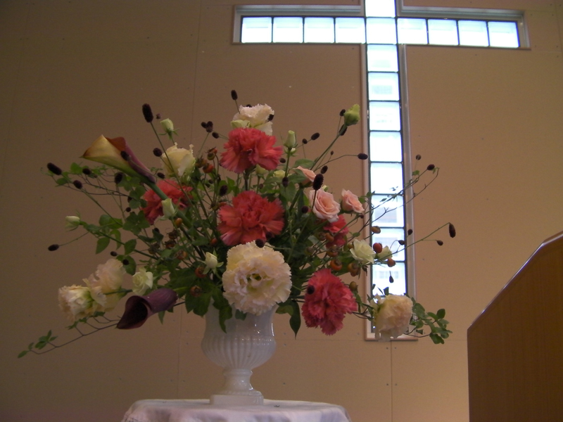 http://www.joychapel.com/images/flower/20100919_02.jpg
