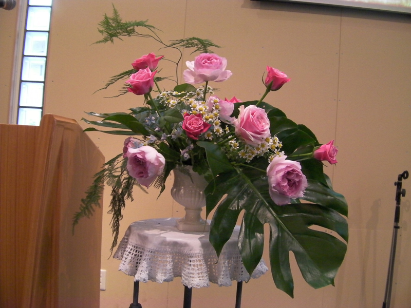 http://www.joychapel.com/images/flower/20101024_03.jpg