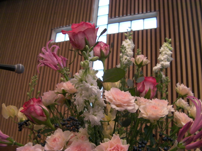 http://www.joychapel.com/images/flower/20101121_03.jpg