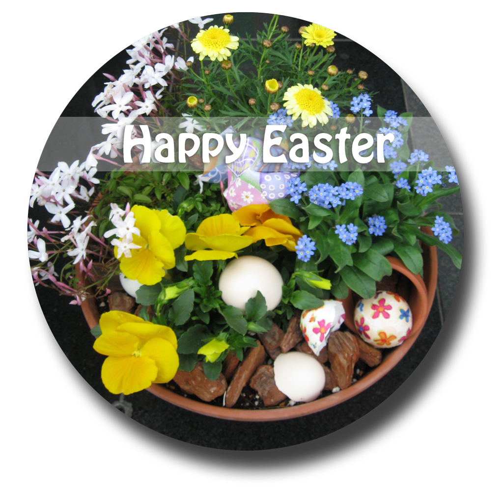 http://www.joychapel.com/postcard/easter.jpg