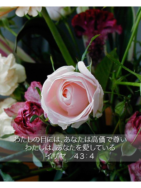 http://www.joychapel.com/postcard/mobile_bg_0104.jpg