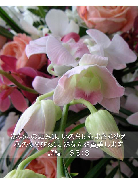 http://www.joychapel.com/postcard/mobile_bg_0203.jpg