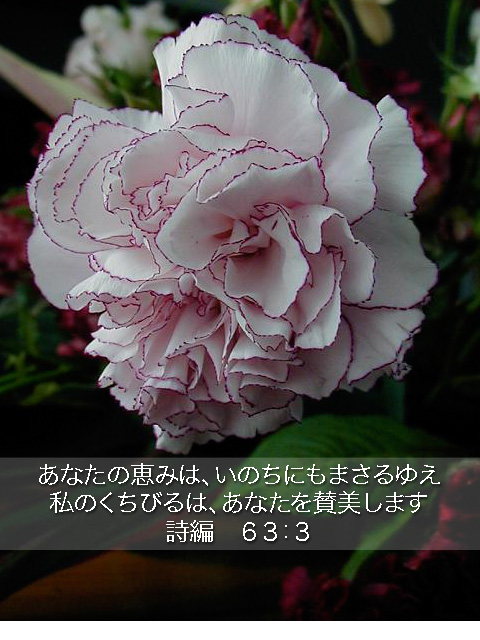 http://www.joychapel.com/postcard/mobile_bg_0205.jpg