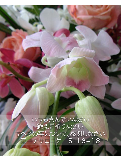 http://www.joychapel.com/postcard/mobile_bg_0303.jpg