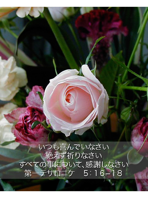 http://www.joychapel.com/postcard/mobile_bg_0304.jpg