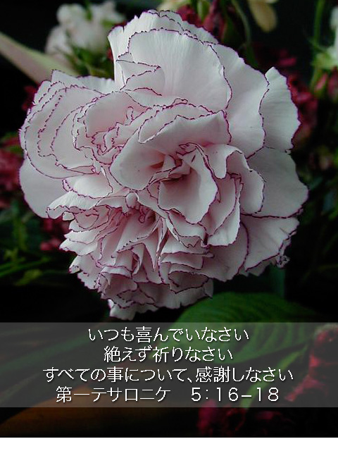 http://www.joychapel.com/postcard/mobile_bg_0305.jpg