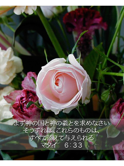 http://www.joychapel.com/postcard/mobile_bg_0404.jpg