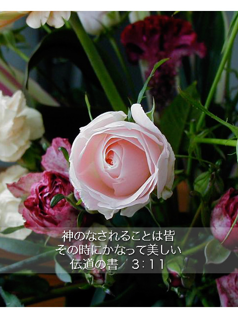 http://www.joychapel.com/postcard/mobile_bg_0504.jpg