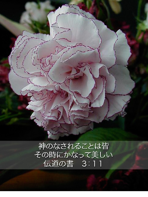 http://www.joychapel.com/postcard/mobile_bg_0505.jpg
